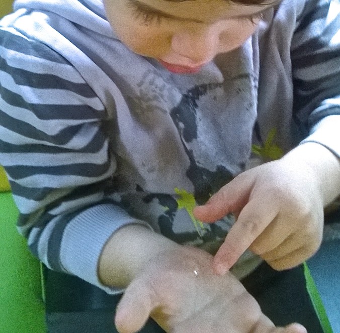 WP_20151216_13_28_03_Pro