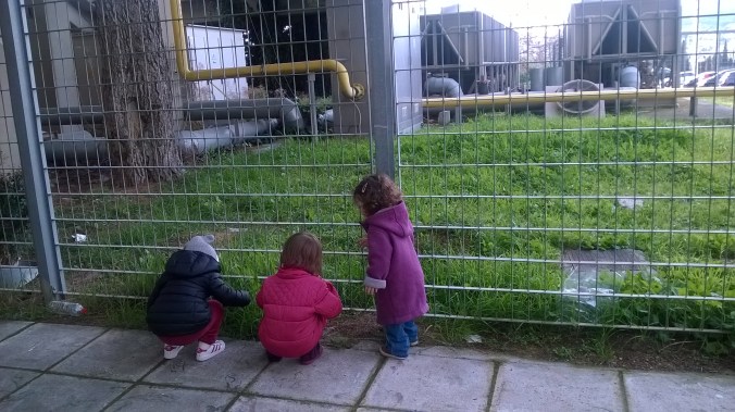 WP_20160208_12_13_39_Pro