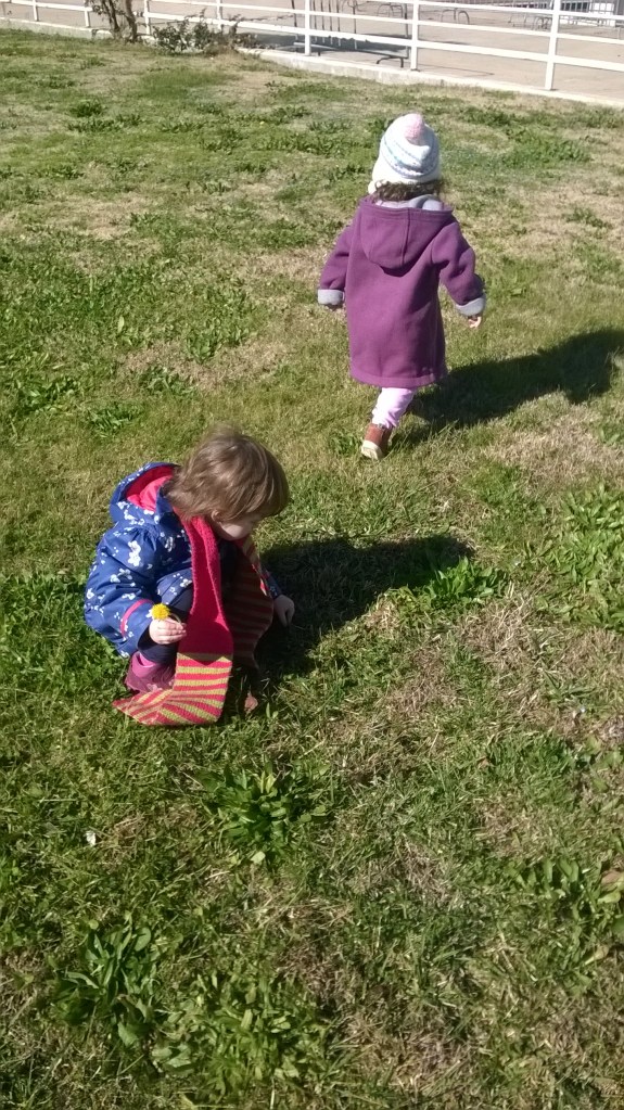 WP_20160211_11_53_35_Pro