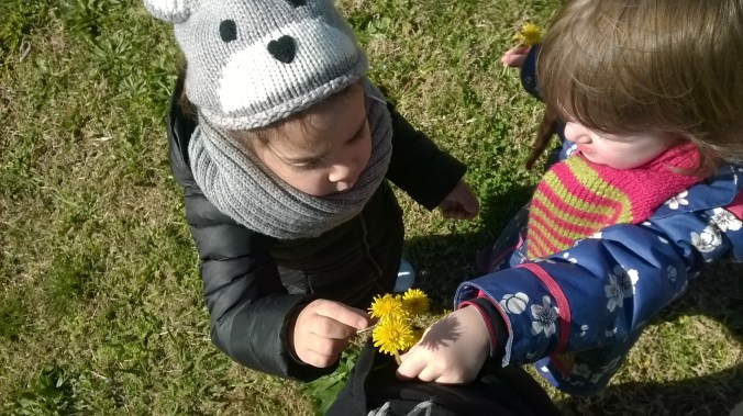 WP_20160211_11_56_48_Pro