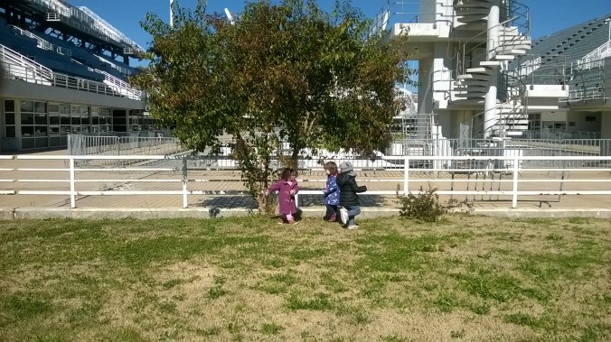 WP_20160211_12_02_40_Pro